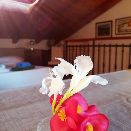 La Calletta Rovinj Ngoại thất bức ảnh