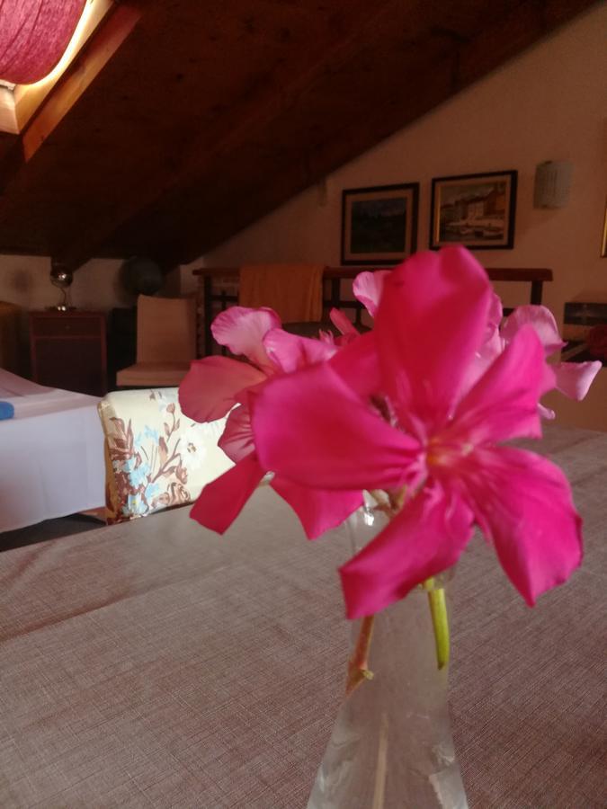 La Calletta Rovinj Ngoại thất bức ảnh